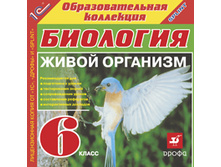 ��������, 6 ��. ����� �������� -85 ���