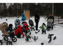 ���� 175.jpg