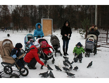 ���� 176.jpg