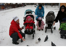 ���� 182.jpg