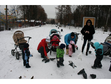 ���� 184.jpg