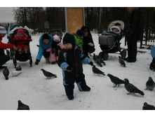 ���� 187.jpg