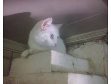 ����� �� �����