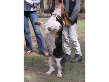 "�������" :)