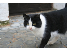 ������������ �����