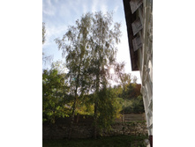 DSC00385.JPG