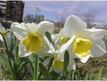 ��������, ������.