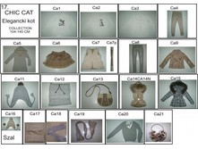 17.CHIC CAT -zbioro�