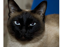 ��� ��� :)