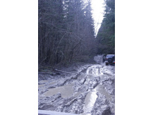 ���� ������: