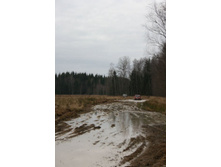 �� ������ ��� ����-����. ���� ��� ��������� ���