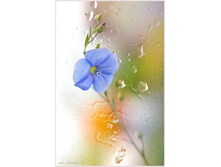 �������� �����