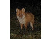 ��������� �����...