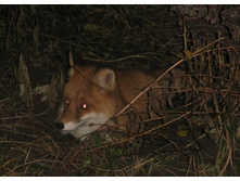 ����������, �����, ����� ���������