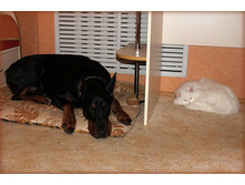 �������2 006.jpg