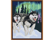 ��015/�����