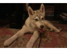 ����� (9).jpg