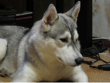 ����� (1).JPG