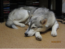 ����� (8).JPG