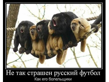 ������� ������ � ��� ����������.jpg