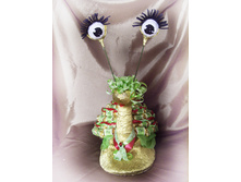 ��������