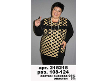 215215 (550-00),.JPG