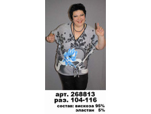 268813 (650-00)..jpg