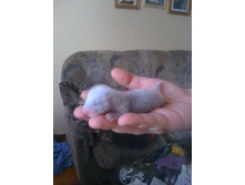 ����������� 584.jpg