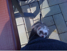 ����������� 038.jpg