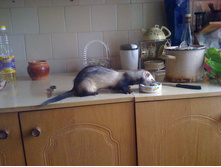 ����������� 162.jpg