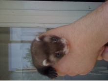 ����������� 191.jpg