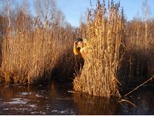 ���� �������?