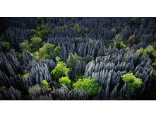 �������� ��� ����������� 