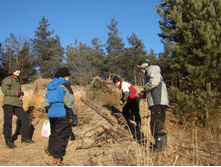 ��������