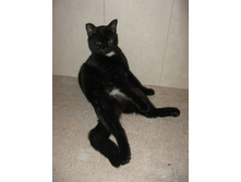 �� ����...