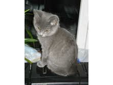 ������ � �������