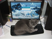 ����, � ������ �� �������...