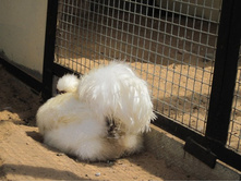 ����� ������� ������