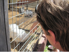 ������� � ������