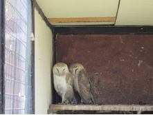 ������ - 2 ��.