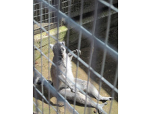 ���� ��������