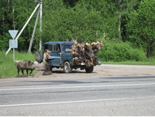 ������ ��-������