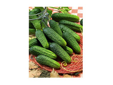 ������ ����� 10,50 ���..jpg