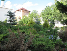 ������� ����