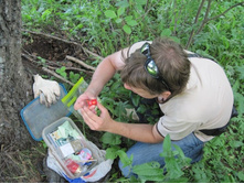 �ݣ ���� ������