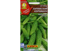 ������ ��������� �������� 5,25 ���..jpeg