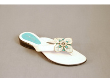 �������:	R224