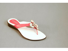  �������:	R223