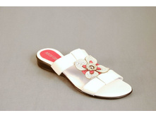  �������:	R204