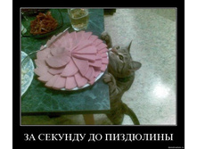 20.08.2010 10:58:29